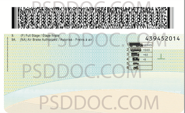 Usa Manitoba Driver License Front Back Sides Psd Store