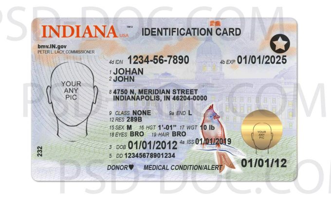 USA Indiana Driver License front + back - PSD Store