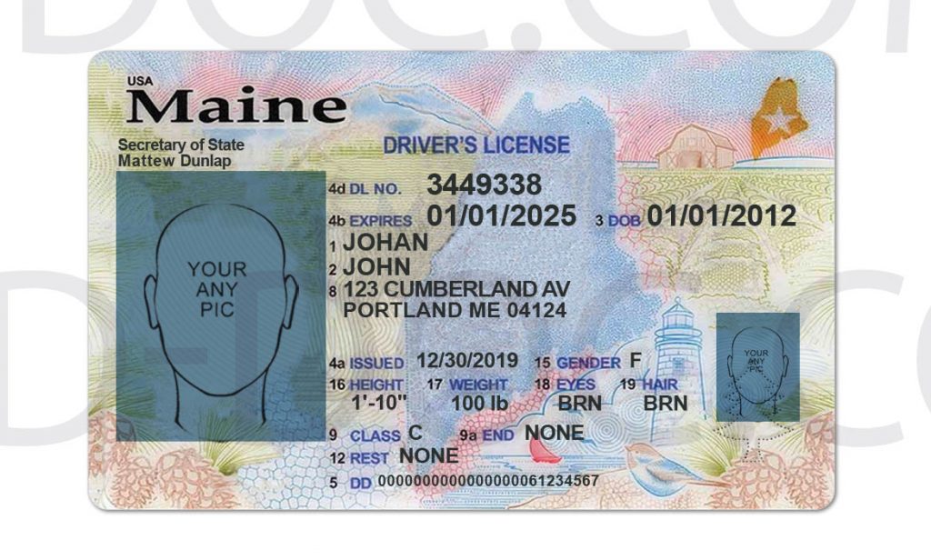 maine drivers license template free