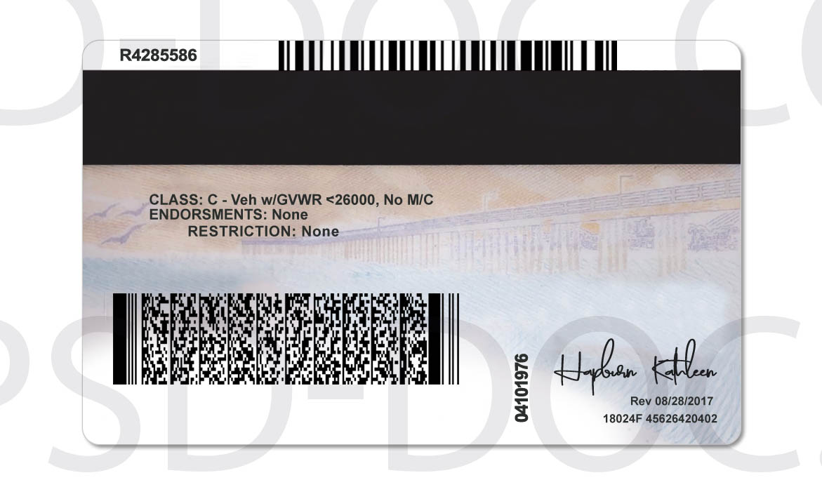 USA California Driver License front back sides - PSD Store