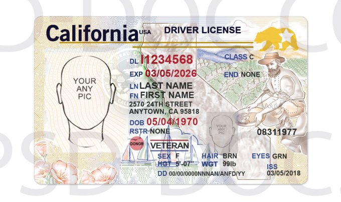 USA California Driver License front back sides - PSD Store