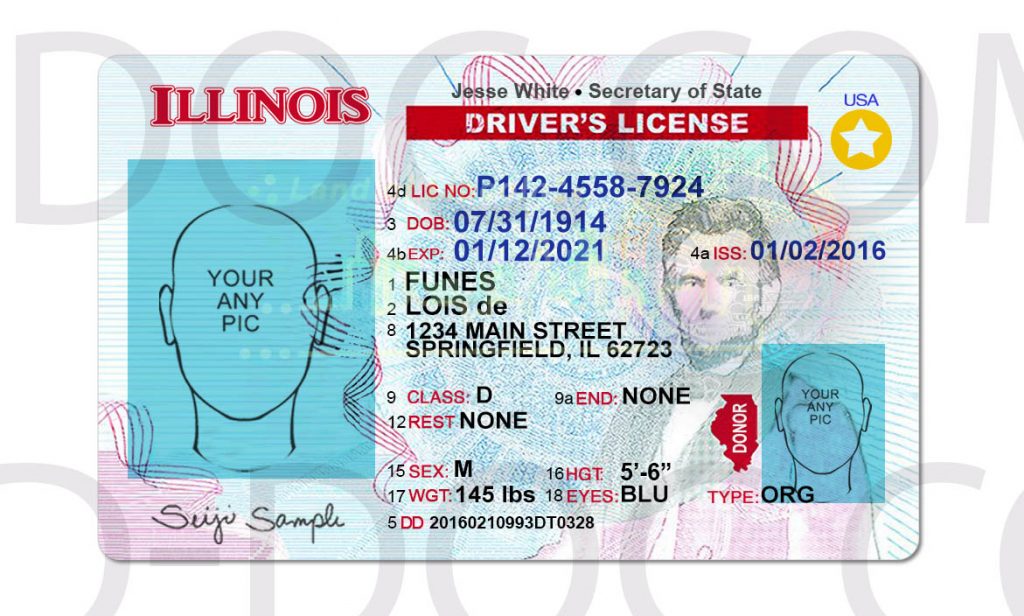 USA Illinois Driver License front back sides - PSD Store