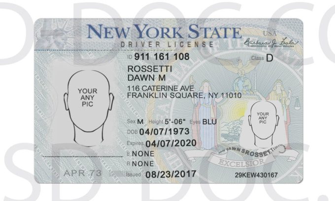 usa-new-york-driver-license-front-back-sides-psd-store