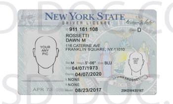 USA New York Driver License front back sides - PSD Store