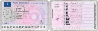 Driver License PSD