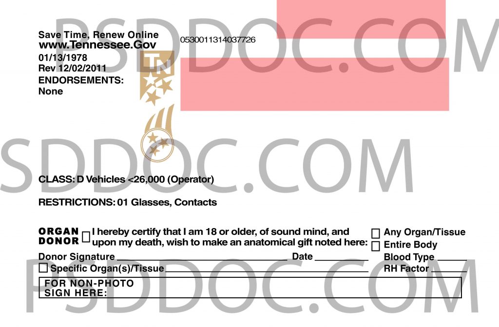 USA Tennessee Driver License front back sides PSD Store