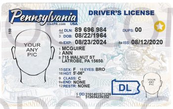 USA Pensylvania Driver License front back sides - PSD Store